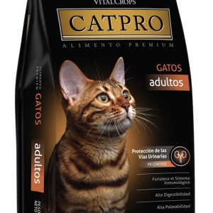 Cat Pro Adultos x 3 Kg.