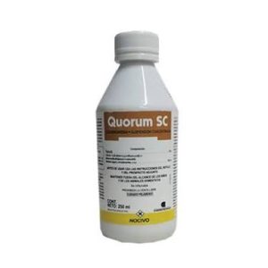 Quorum x 50 ml