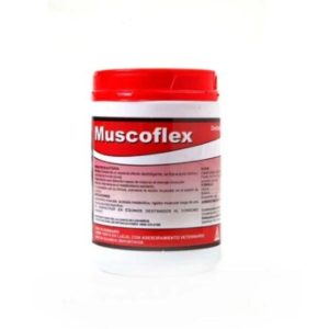 Muscoflex x 500 gr